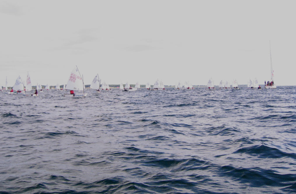 Vis 87.jpg i fuld st�rrelse